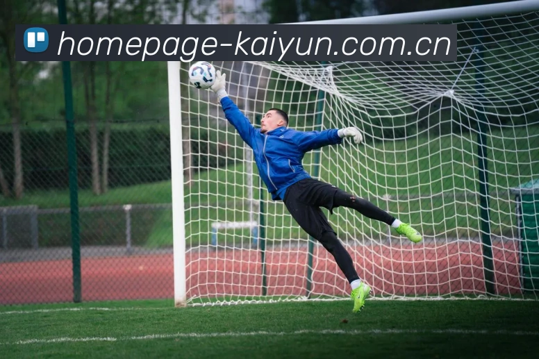 开云体育下载APP 封面图